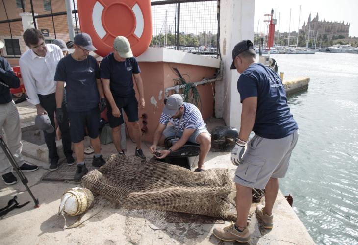  astilleros de mallorca, mejillones, biorremediación, filtrar bacterias, autoridad portuaria de bale